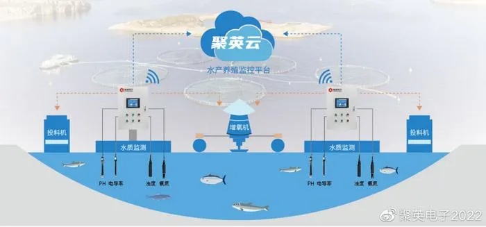 物联网鱼塘系统有哪些类型（详解物联网技术在鱼塘中的应用）