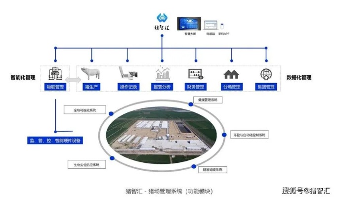 小型猪舍物联网系统有哪些（介绍小型猪舍智能化管理技术）