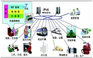 物联网分拣平台系统有哪些（详解物联网技术在分拣领域的应用）